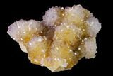 Cactus Quartz (Amethyst) Crystal Cluster - South Africa #137805-1
